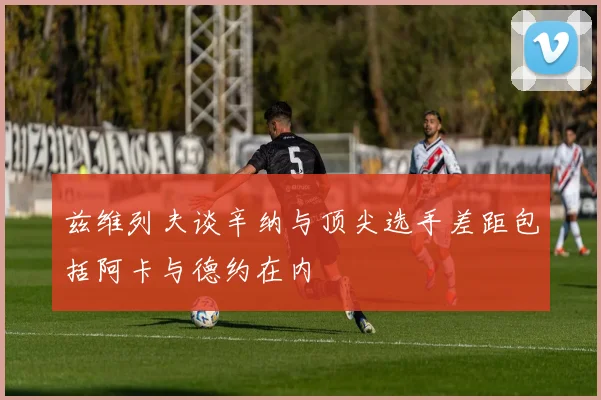 兹维列夫谈辛纳与顶尖选手差距包括阿卡与德约在内