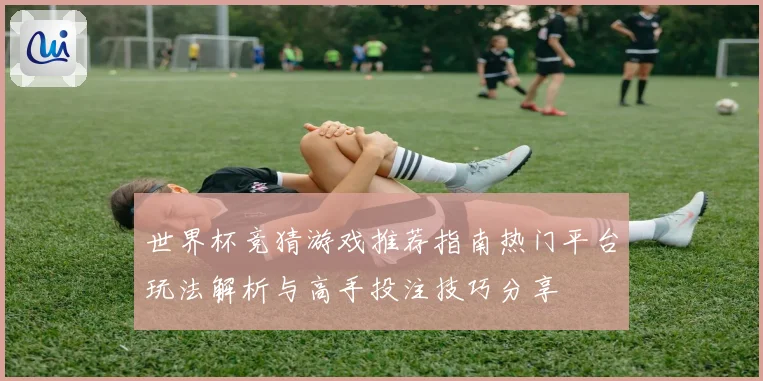 世界杯竞猜游戏推荐指南热门平台玩法解析与高手投注技巧分享