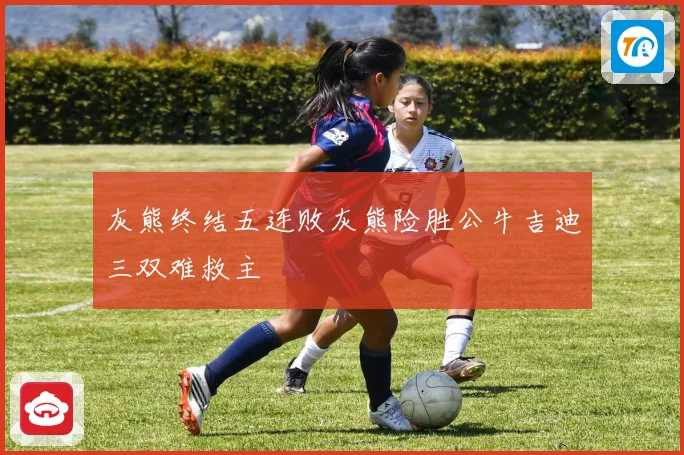 灰熊终结五连败灰熊险胜公牛吉迪三双难救主