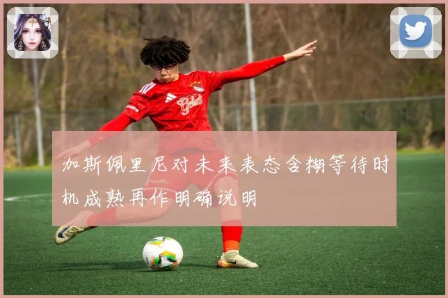 加斯佩里尼对未来表态含糊等待时机成熟再作明确说明