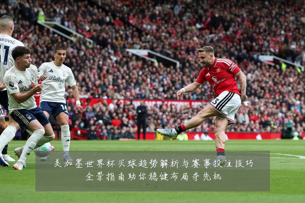 美加墨世界杯买球趋势解析与赛事投注技巧全景指南助你稳健布局夺先机